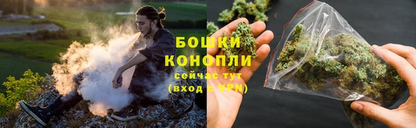 крисы Баксан