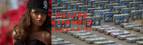 крисы Баксан