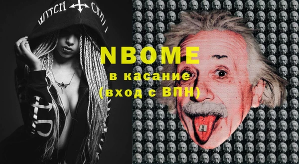 крисы Баксан