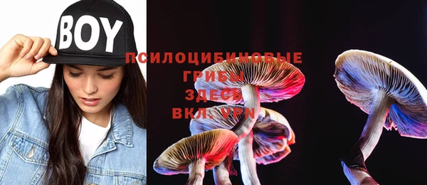крисы Баксан