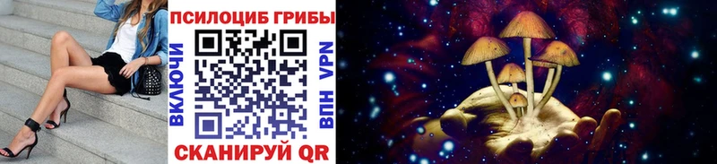 Купить  Ахтубинск  Псилоцибиновые грибы мухоморы 